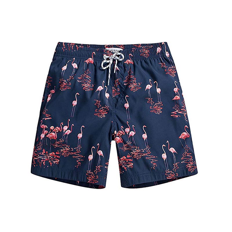 Men Swim Shorts