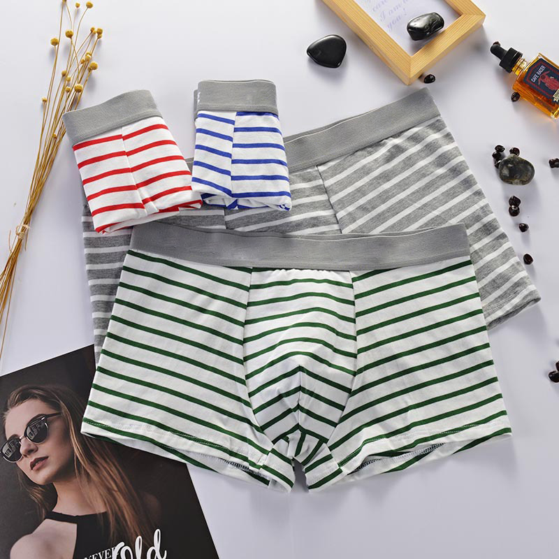 Striped Boxer Briefs Man Underwear