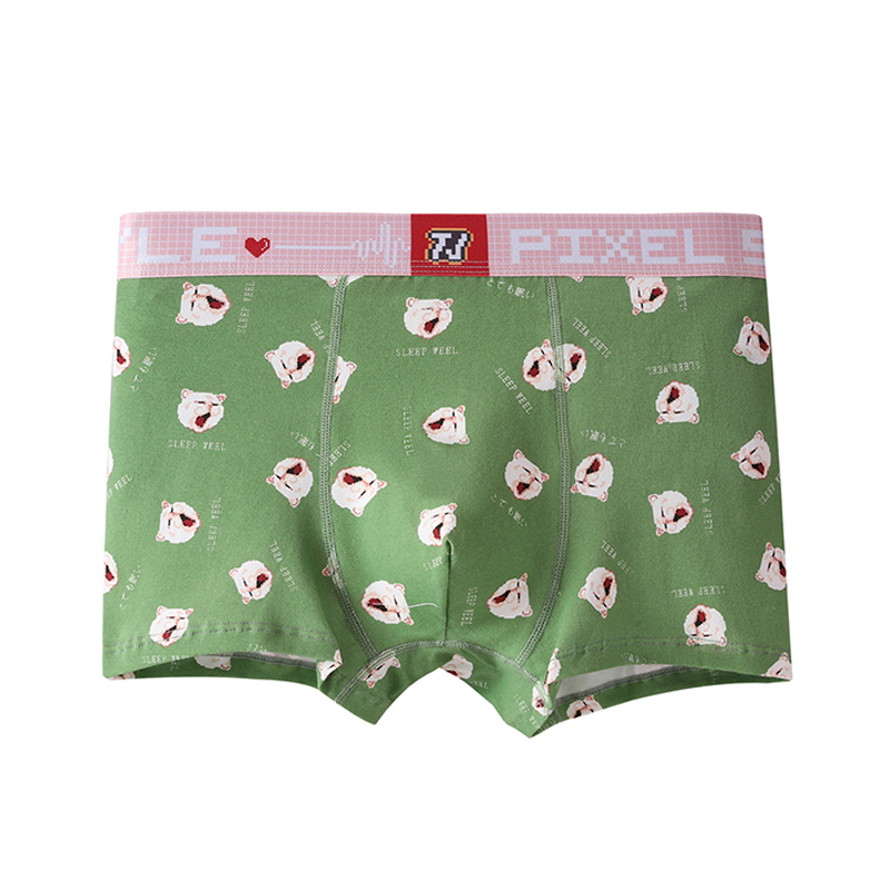 Funny Boxer Briefs for Men